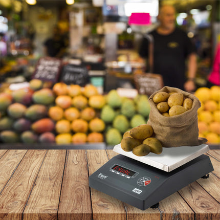 Equal 20/30kg Capacity Electronics Digital Table Top Kitchen Weighing Scale; 220x200mm